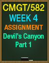 CMGT/582 WEEK 4 DEVIL'S CANYON PART 1